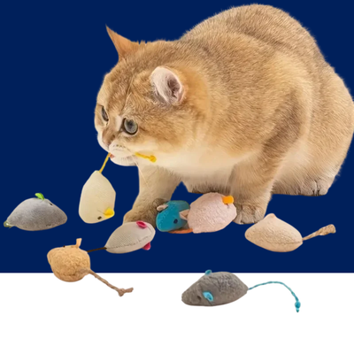 Plush Rat Cat Toy Set – 3/7PCS Durable Linen Indoor Play