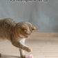 2PCS Cat Interactive Ball Indoor Automatic Rolling Magic Ball Smart Cat Toys Electronic Interactive Cat Toy Cat Game Accessories - WTN Essentials 