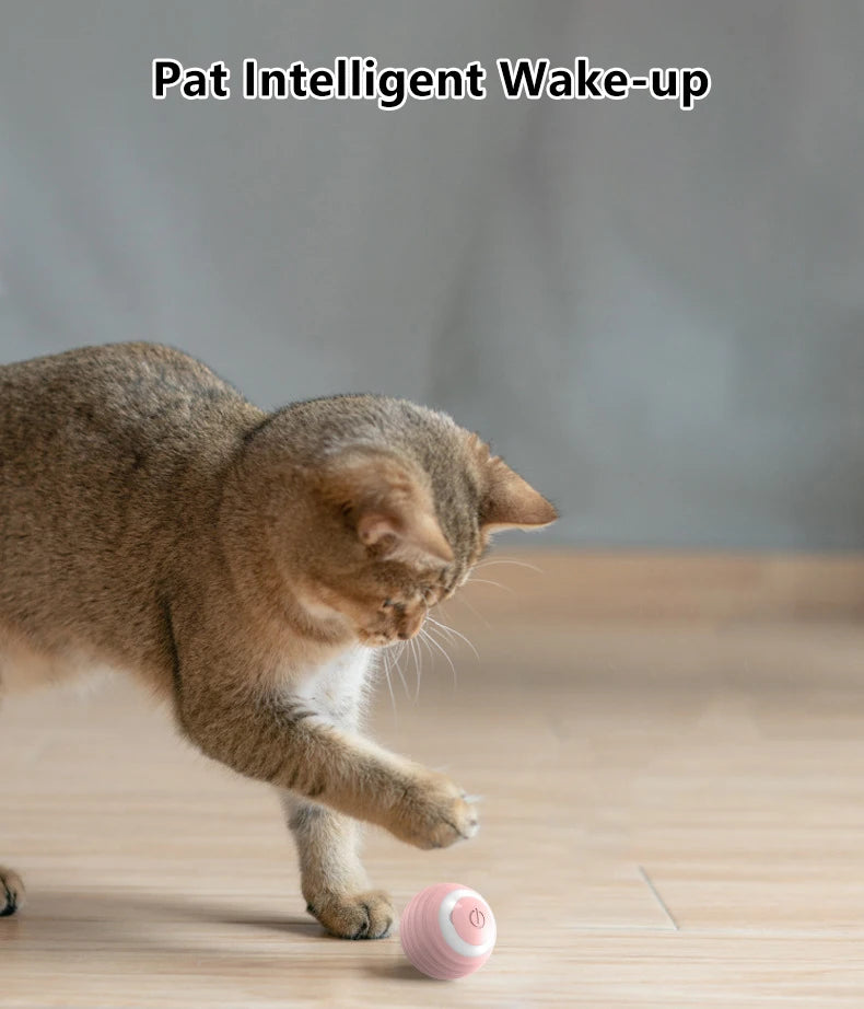 2PCS Cat Interactive Ball Indoor Automatic Rolling Magic Ball Smart Cat Toys Electronic Interactive Cat Toy Cat Game Accessories - WTN Essentials 