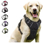 Dog Collars Harness Big Vests Leash Pet Shop Everything for Dogs Leather Puppy Accessories Medium Small Set - WTN Essentials 
