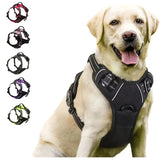 Dog Collars Harness Big Vests Leash Pet Shop Everything for Dogs Leather Puppy Accessories Medium Small Set - WTN Essentials 