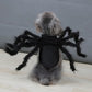 Funny Halloween Costumes – Spider Halloween Cat Costume for Pets