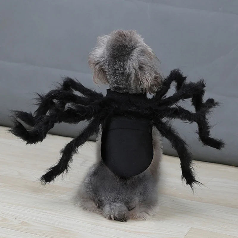 Funny Halloween Costumes – Spider Halloween Cat Costume for Pets