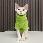 Soft Coral Velvet Hairless Cat Clothes Vest