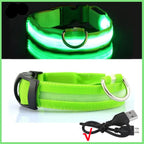 USB Rechargeable Luminous Collar Adjustable Led Glowing Dog Collar for Large Small Dogs Cat Night Light Collar Pet Safety Harnes - WTN Essentials 