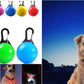 USB Rechargeable Luminous Collar Adjustable Led Glowing Dog Collar for Large Small Dogs Cat Night Light Collar Pet Safety Harnes - WTN Essentials 