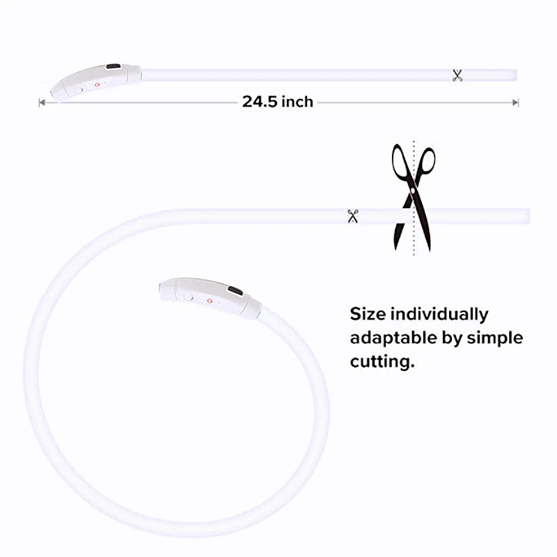 USB Rechargeable Luminous Collar Adjustable Led Glowing Dog Collar for Large Small Dogs Cat Night Light Collar Pet Safety Harnes - WTN Essentials 