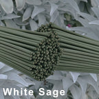 20/50 White Sage Incense Sticks, 8.66inch , Suitable for Yoga and Meditation, Purifies the Mind and Eliminates Negative Energy