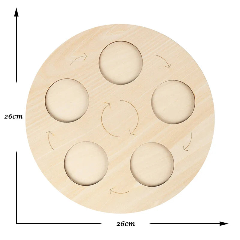 Montessori Animal and Plant Life Cycle Biology Model Toy Set