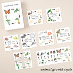 Montessori Animal and Plant Life Cycle Biology Model Toy Set