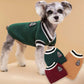 Dog wearing a green sweater with matching leg warmers on a beige background