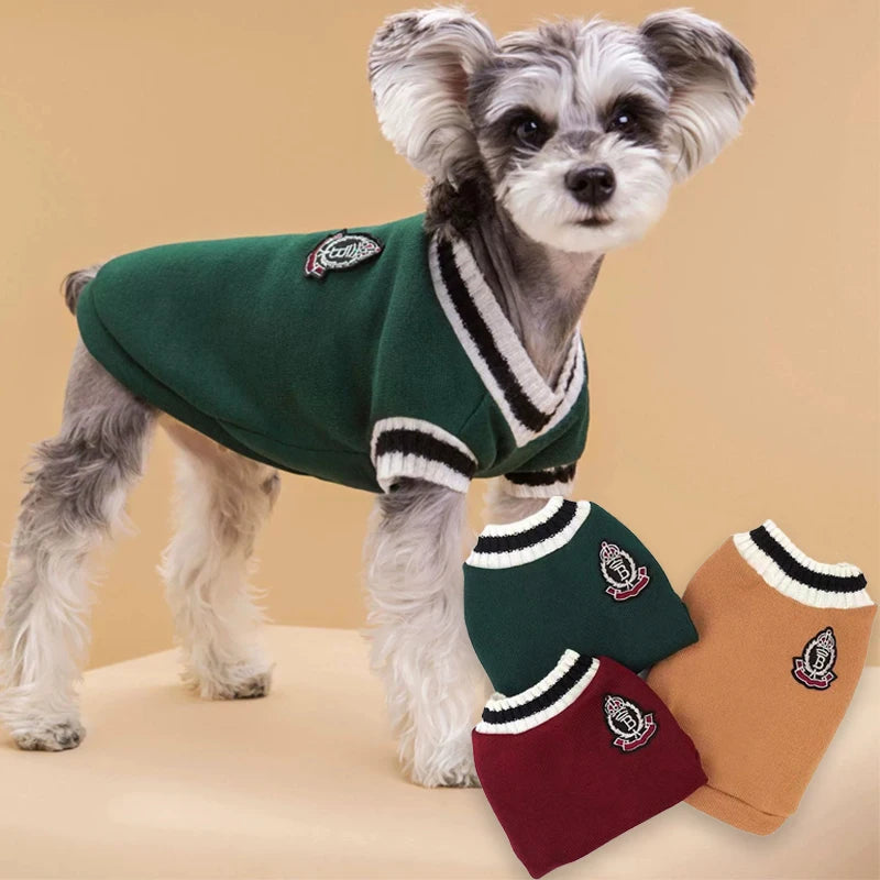 Dog wearing a green sweater with matching leg warmers on a beige background