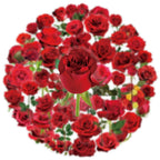 50/200PCS Transparent PET Flower Plant Material Stickers Handbooks Tablets Phone Water Cups Decor Stationary Notebook Stickers