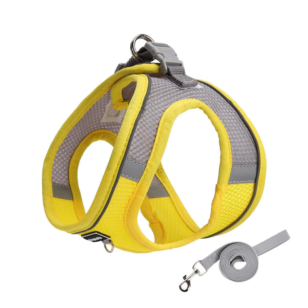 Adjustable Dog Harness & Leash Set for Small Dogs – Comfortable & Safe Walking Gear