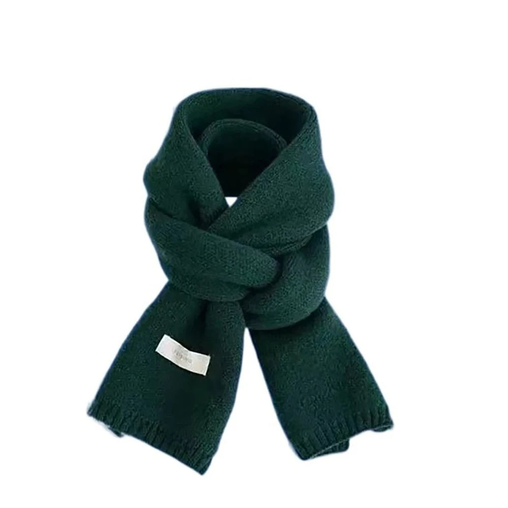 Fashion Cashmere Scarf Women Winter Shawls And Wraps Hijab Blanket Ladies Thick Neckerchief Bufanda Pashmina Long Echarpe
