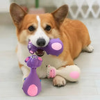 Soft Rubber Squeaky Dog Toy for Interactive Fetch and Chew Play