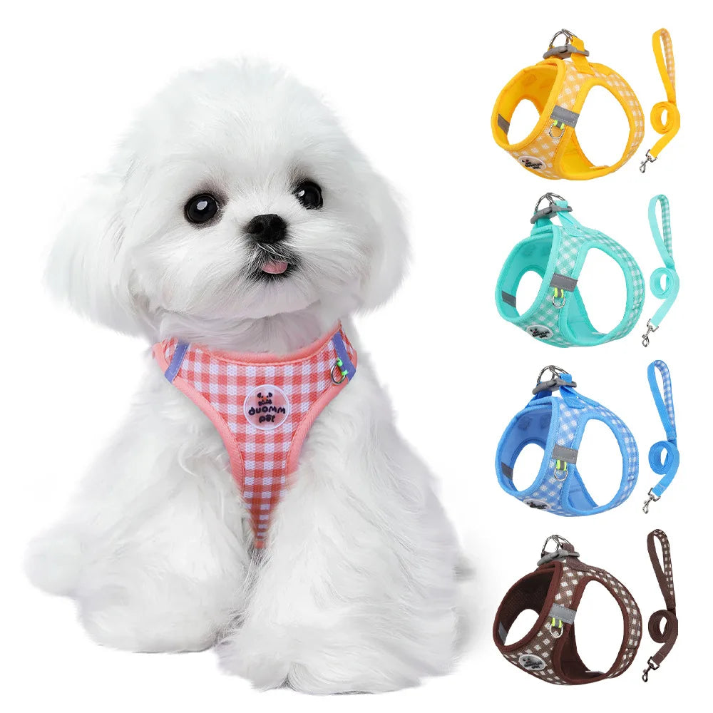 Stylish Checkered Cat Harness and Leash Set for Safe Adventures