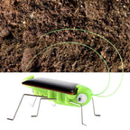 Solar Grasshopper Toy Puzzle Children Selected Gift Simulation Insect Gift Boys And Girls Science Education Funny Moving Toy Kid