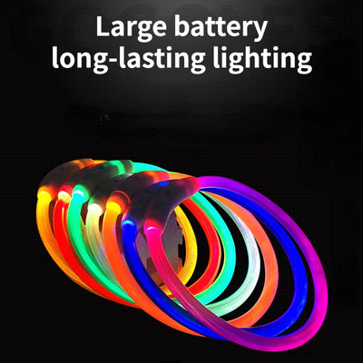LED Dog Luminous Collar for Night Safety