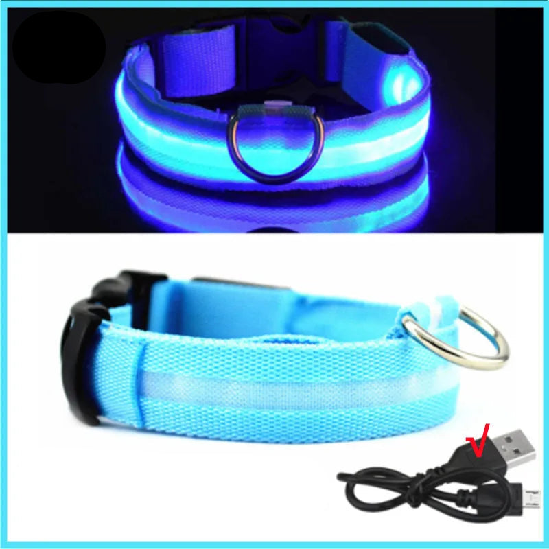USB Rechargeable Luminous Collar Adjustable Led Glowing Dog Collar for Large Small Dogs Cat Night Light Collar Pet Safety Harnes - WTN Essentials 