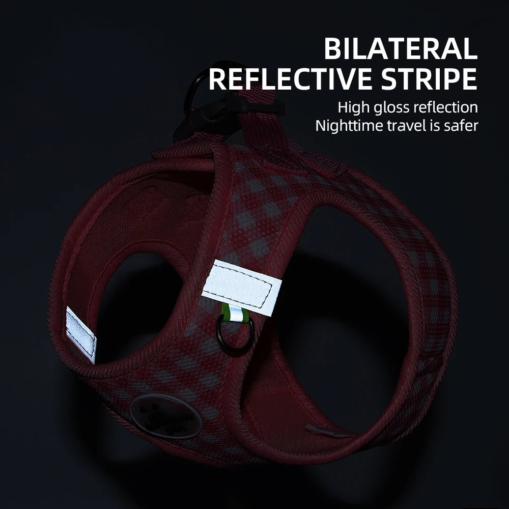 Stylish Checkered Cat Harness and Leash Set for Safe Adventures