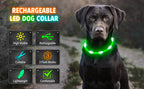 USB Rechargeable Luminous Collar Adjustable Led Glowing Dog Collar for Large Small Dogs Cat Night Light Collar Pet Safety Harnes - WTN Essentials 