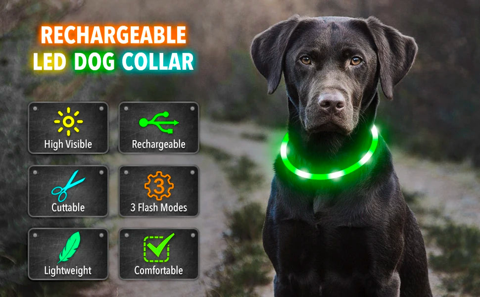 USB Rechargeable Luminous Collar Adjustable Led Glowing Dog Collar for Large Small Dogs Cat Night Light Collar Pet Safety Harnes - WTN Essentials 