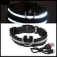 USB Rechargeable Luminous Collar Adjustable Led Glowing Dog Collar for Large Small Dogs Cat Night Light Collar Pet Safety Harnes - WTN Essentials 