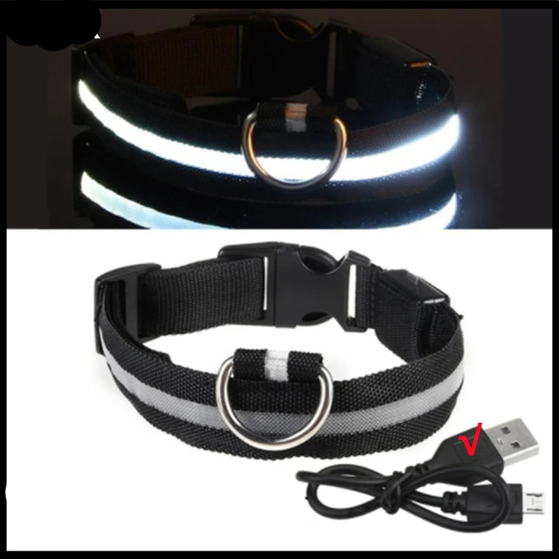 USB Rechargeable Luminous Collar Adjustable Led Glowing Dog Collar for Large Small Dogs Cat Night Light Collar Pet Safety Harnes - WTN Essentials 