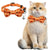 Adjustable Cat Bow Tie Collar – Festive Halloween Design