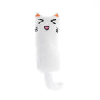 Catnip Rustle Sound Plush Cat Toy for Interactive Indoor Play