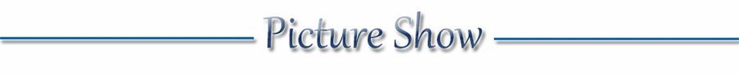 USB Rechargeable Luminous Collar Adjustable Led Glowing Dog Collar for Large Small Dogs Cat Night Light Collar Pet Safety Harnes - WTN Essentials 