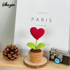 Hook Woven Finished Small Potted Plant Simulation Flower Potted Plant Flower Decoration Creative Gift Ornament