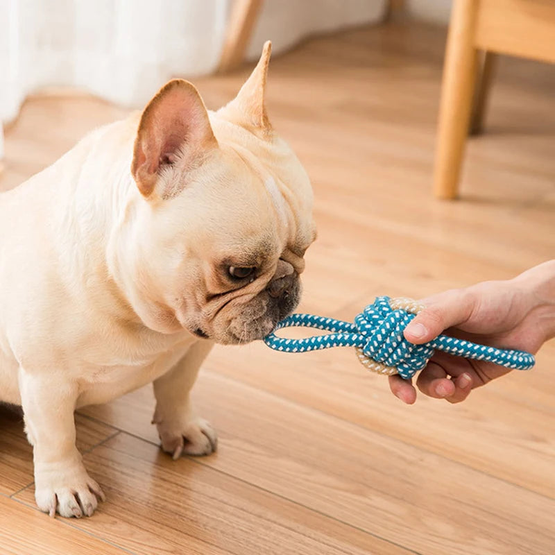 Interactive Cotton Rope Mini Dog Toys Ball for Dogs Accessories Toothbrush Chew Puppy Toy for Large Small Dogs Toy Pet Dog Toy - WTN Essentials 