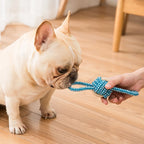 Interactive Cotton Rope Mini Dog Toys Ball for Dogs Accessories Toothbrush Chew Puppy Toy for Large Small Dogs Toy Pet Dog Toy - WTN Essentials 