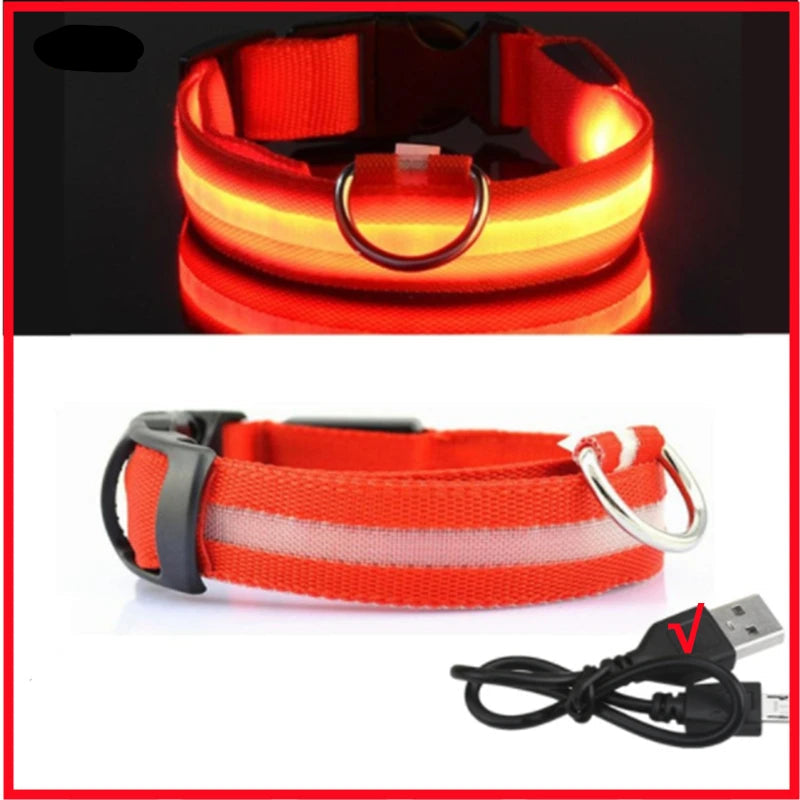 USB Rechargeable Luminous Collar Adjustable Led Glowing Dog Collar for Large Small Dogs Cat Night Light Collar Pet Safety Harnes - WTN Essentials 