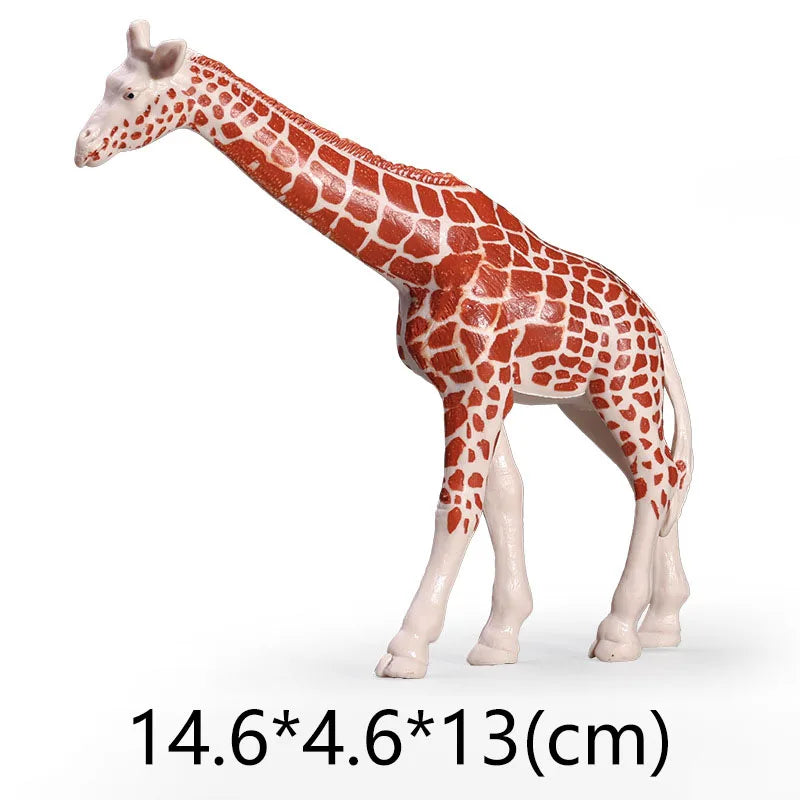NEW Wild Animal Zoo Tiger Kangaroo Elephant Snake Bear Deer Koala Squirrel Model Figurine Collecta Toy Figures Gift for Children