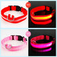 USB Rechargeable Luminous Collar Adjustable Led Glowing Dog Collar for Large Small Dogs Cat Night Light Collar Pet Safety Harnes - WTN Essentials 