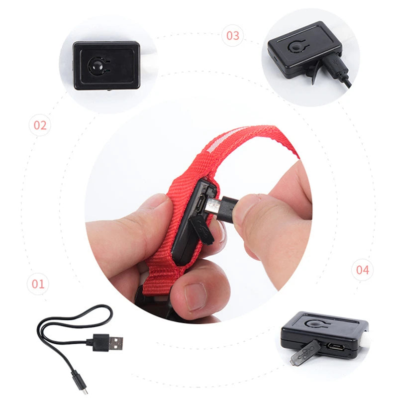 USB Rechargeable Luminous Collar Adjustable Led Glowing Dog Collar for Large Small Dogs Cat Night Light Collar Pet Safety Harnes - WTN Essentials 