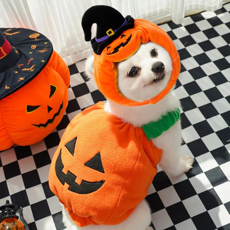 Halloween & Christmas Transforming Pet Costume – Funny Dog & Cat Outfit