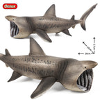 Oenux Ocean Animals Action Figures Sealife Shark Whare Megalodon Model Figurines PVC Home Decoration Kid Cognitive Education Toy