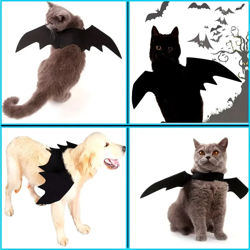 Bat Halloween Costume for Cats & Dogs