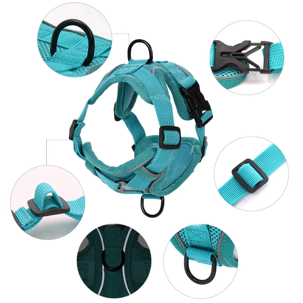 Secure escape proof cat harness with leash for outdoor adventures