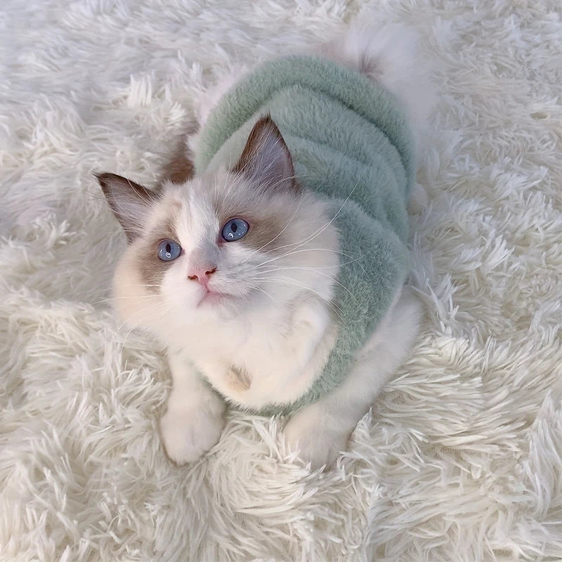 Cat wearing a green sweater on a fluffy white surface