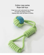 Interactive Cotton Rope Mini Dog Toys Ball for Dogs Accessories Toothbrush Chew Puppy Toy for Large Small Dogs Toy Pet Dog Toy - WTN Essentials 