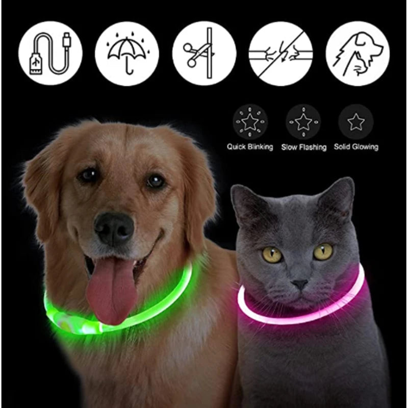 USB Rechargeable Luminous Collar Adjustable Led Glowing Dog Collar for Large Small Dogs Cat Night Light Collar Pet Safety Harnes - WTN Essentials 