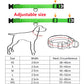 USB Rechargeable Luminous Collar Adjustable Led Glowing Dog Collar for Large Small Dogs Cat Night Light Collar Pet Safety Harnes - WTN Essentials 