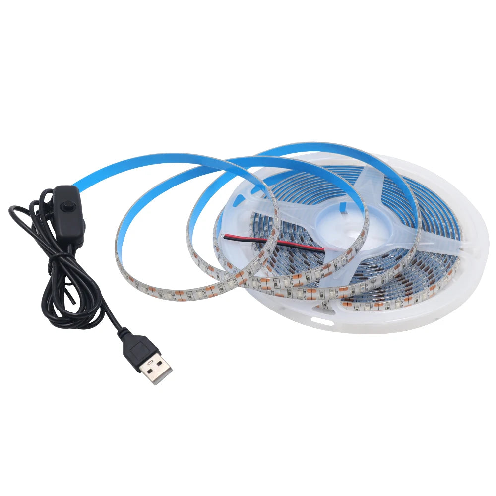 5V 2835 LED Strip Light 2835 60Leds/m Flexible Fita Led Tape With Switch White Warm Blue Waterproof LED Lights for Room Decor