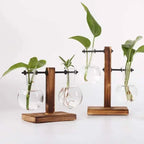 Hydroponic Plant Terrarium Vasevase Decoration Home Glass Bottle Hydroponic Desktop Decoration Office Green Plant Small Potted