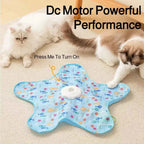 Hide and Seek Cat Toy Interactive Motion Mouse Teaser Play Toy